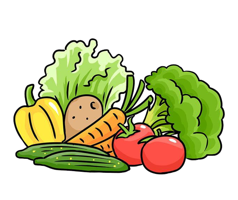 مواد شیمیایی غذایی